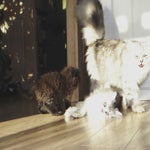 DSC00144.jpg