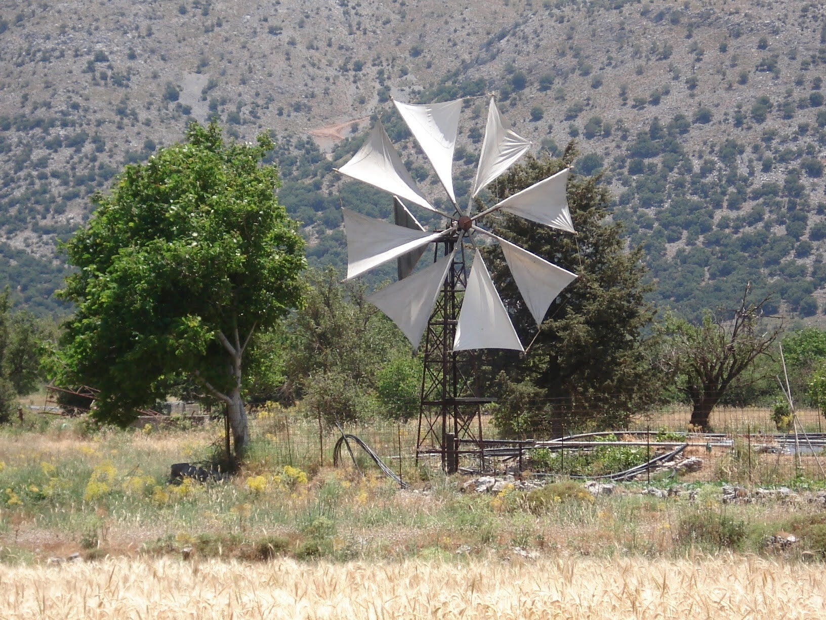 025-standard-aqrami.jpg