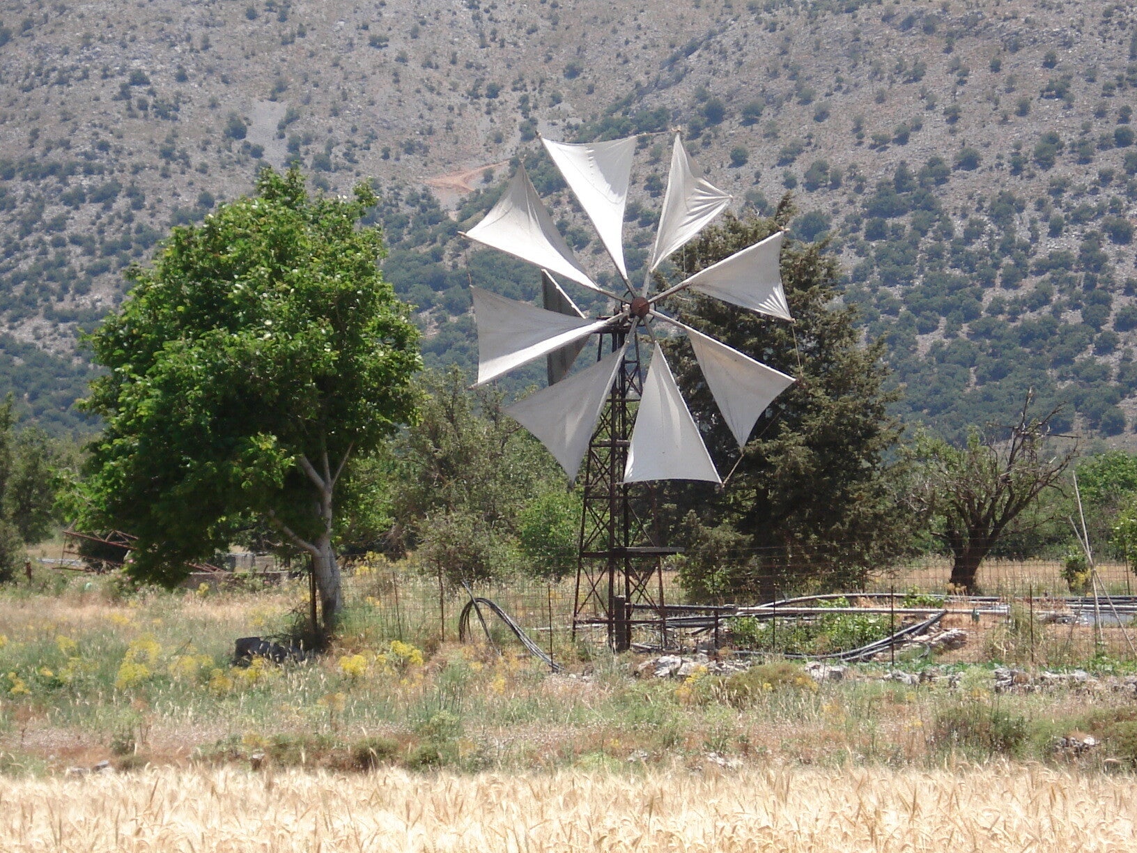025-standard.jpg