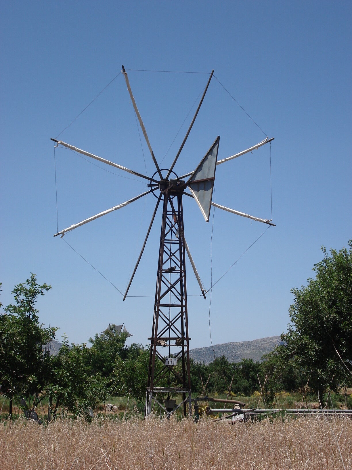 026-standard.jpg