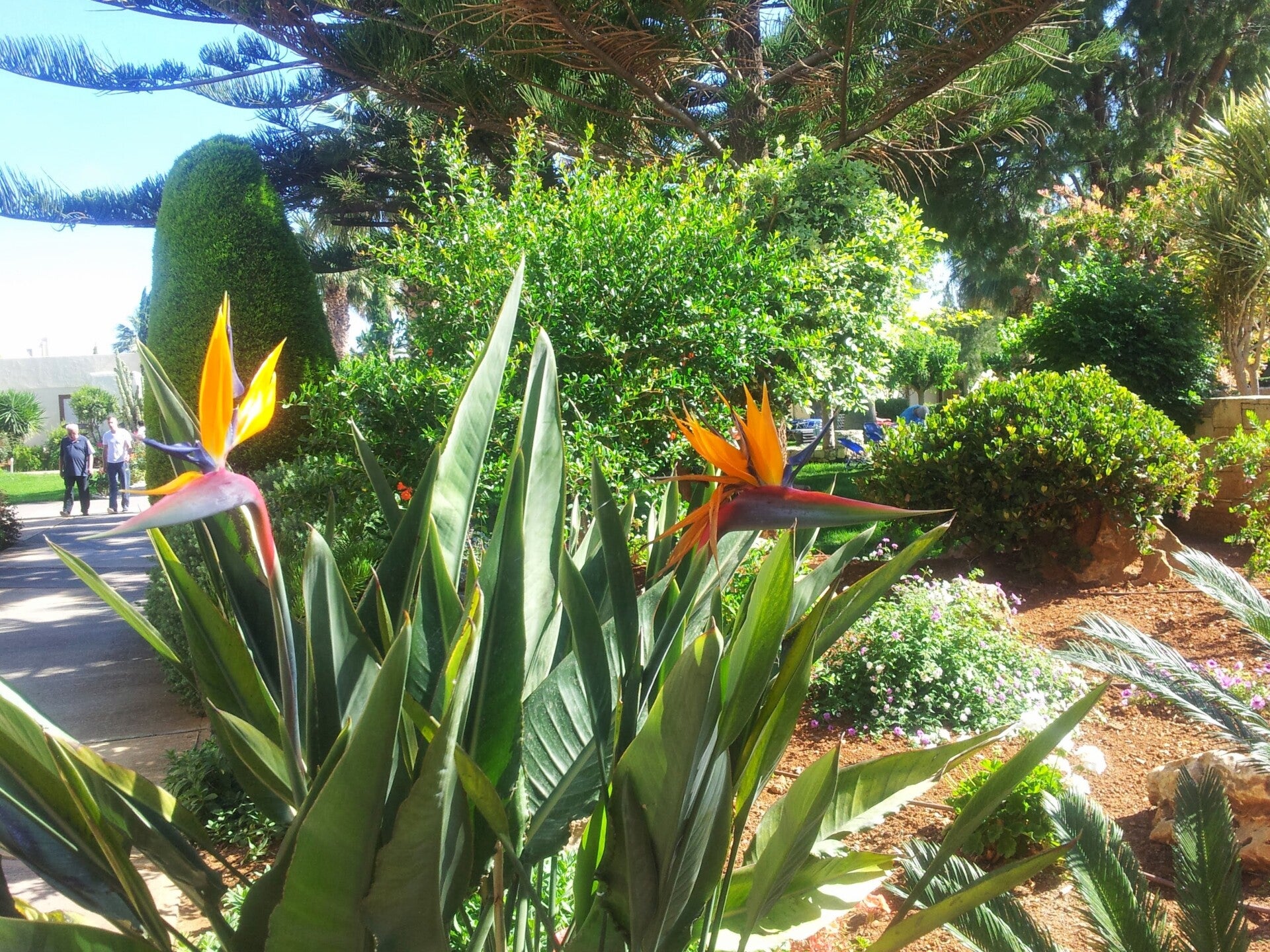 20140601_094223-standard.jpg