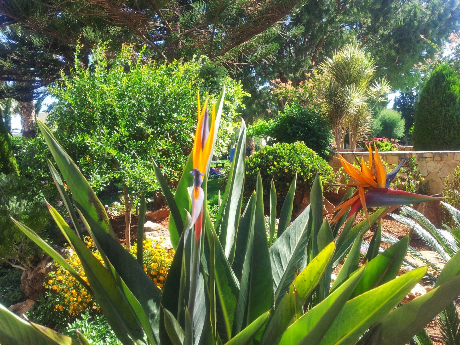 20140601_094231-standard.jpg