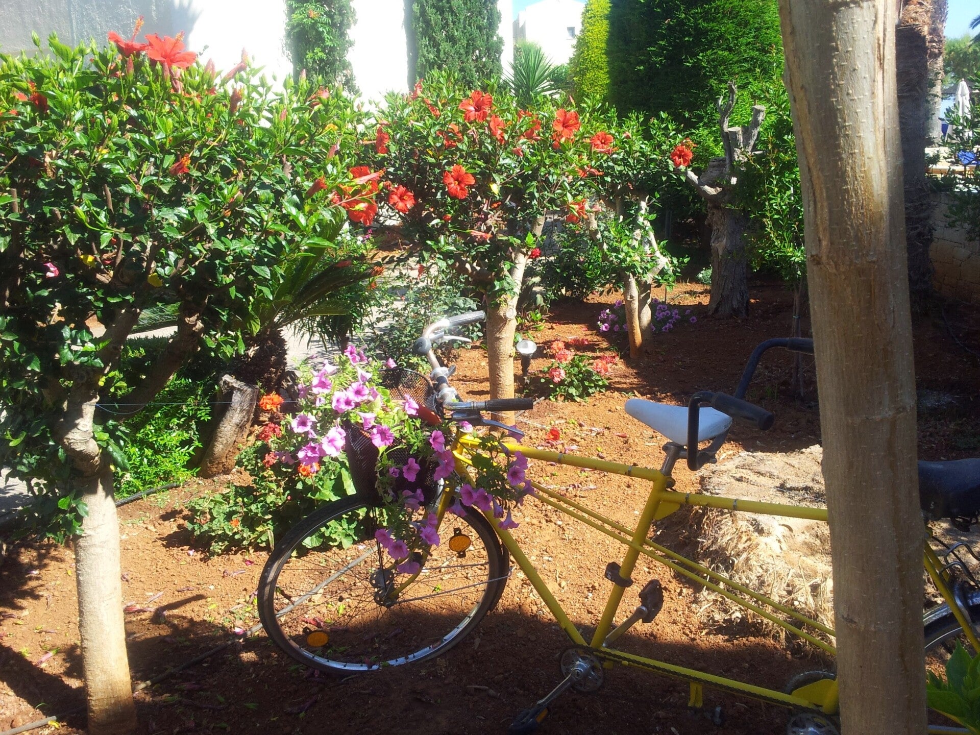 20140601_094334-standard.jpg