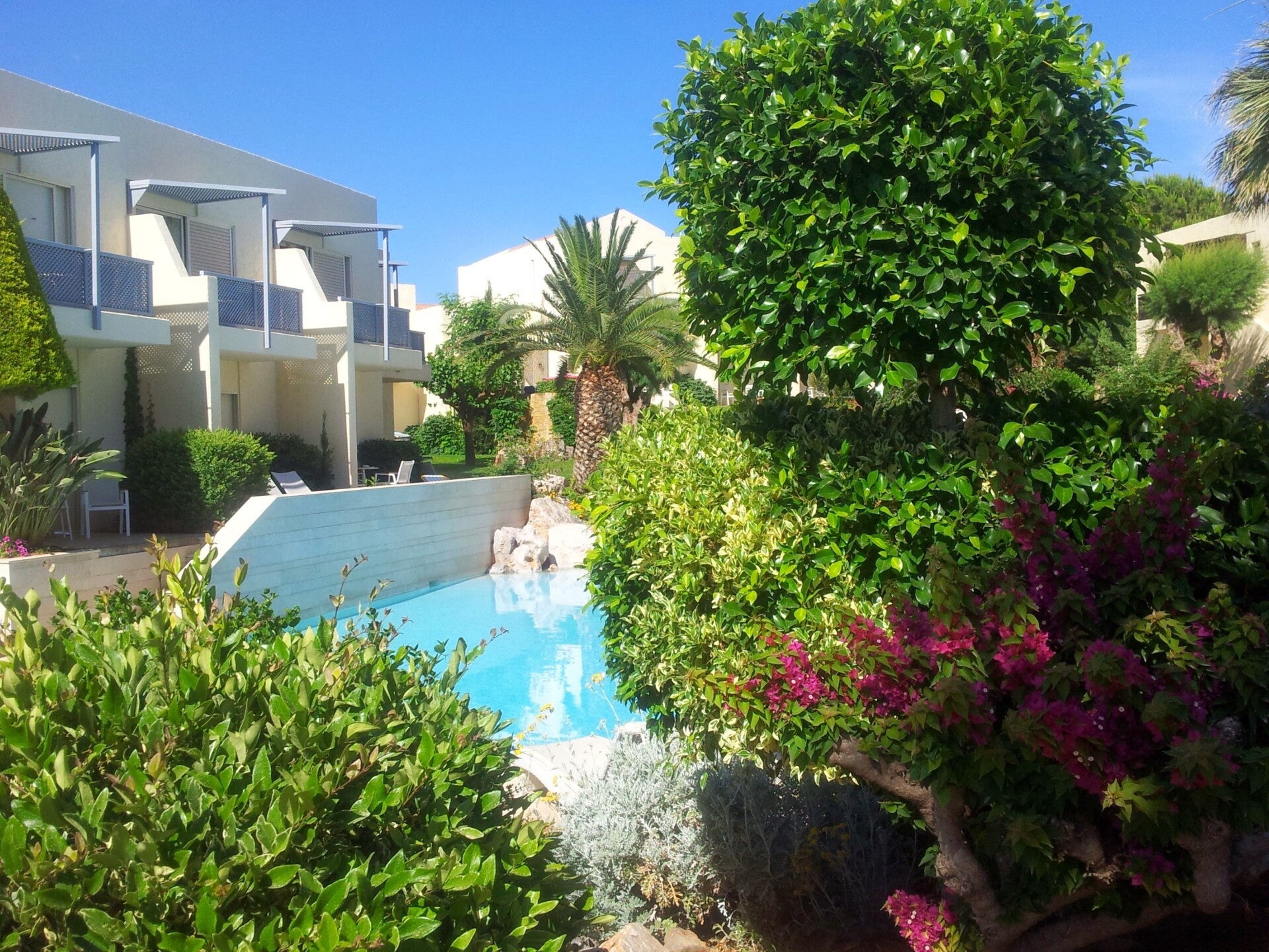 20140601_094459-standard.jpg