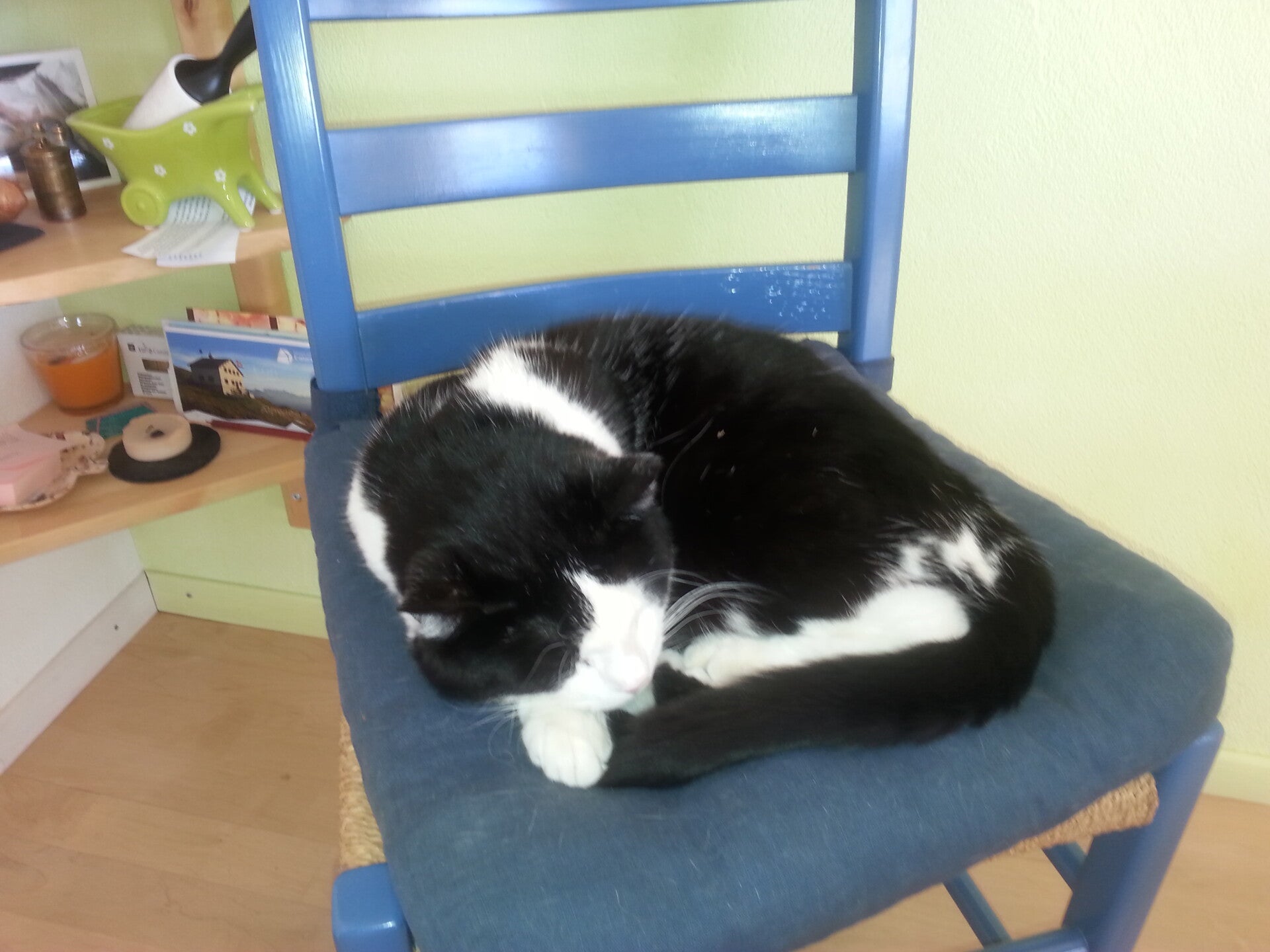 20150506_160235-standard.jpg