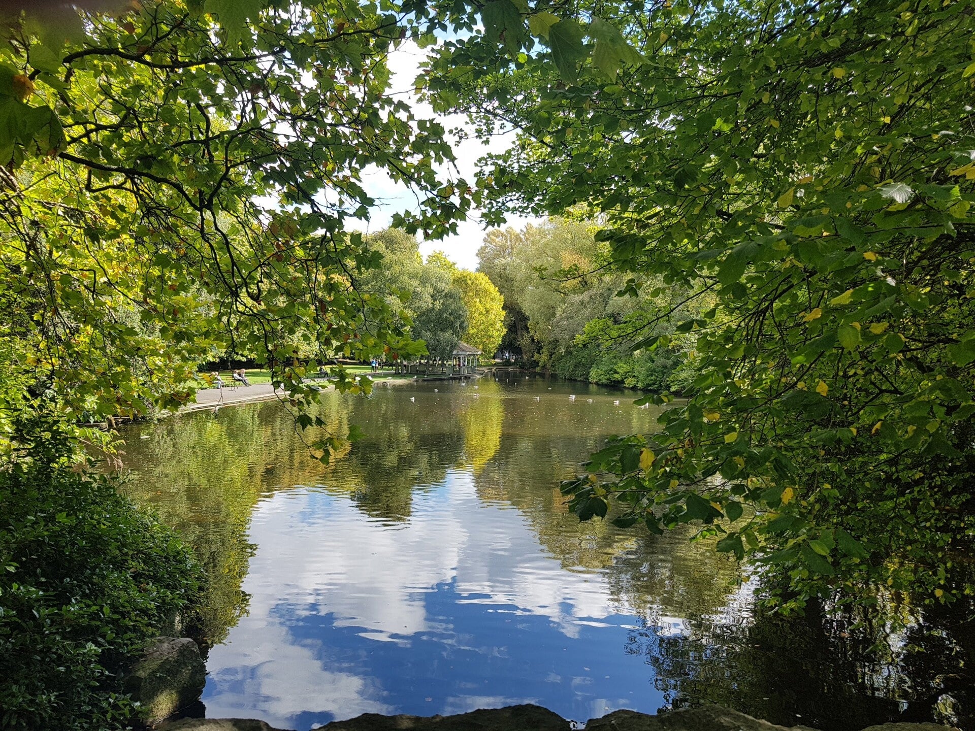 20170921_125243-standard.jpg