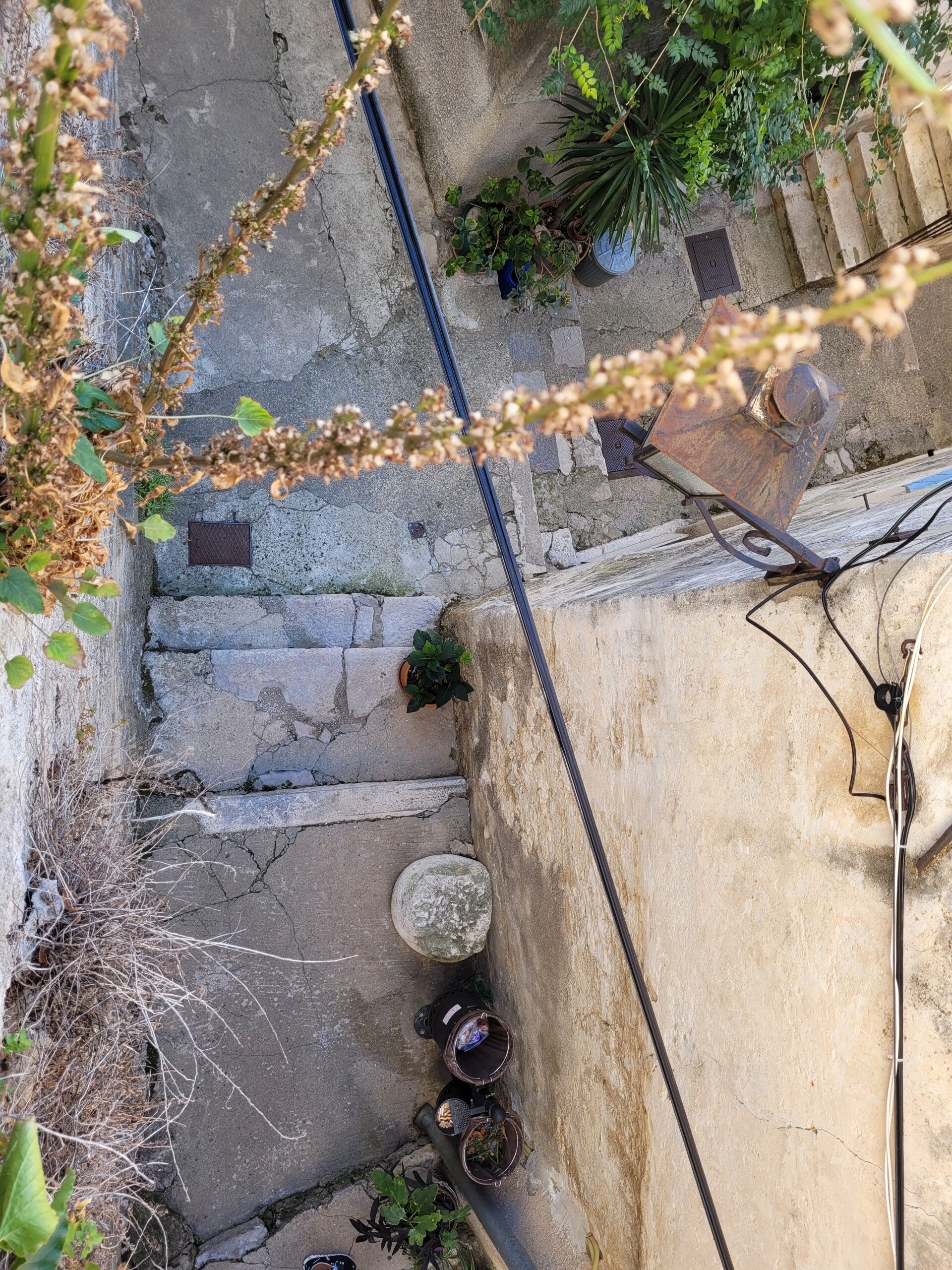 20220922_114724-standard.jpg