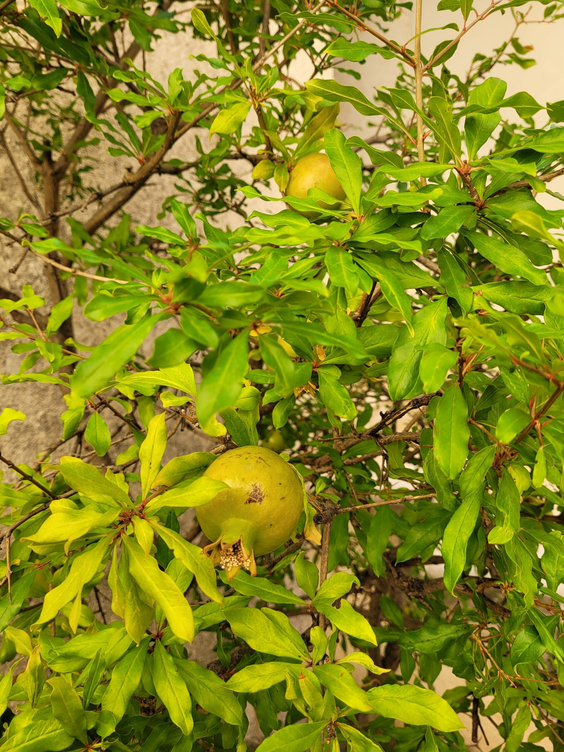 20220922_114801-standard.jpg