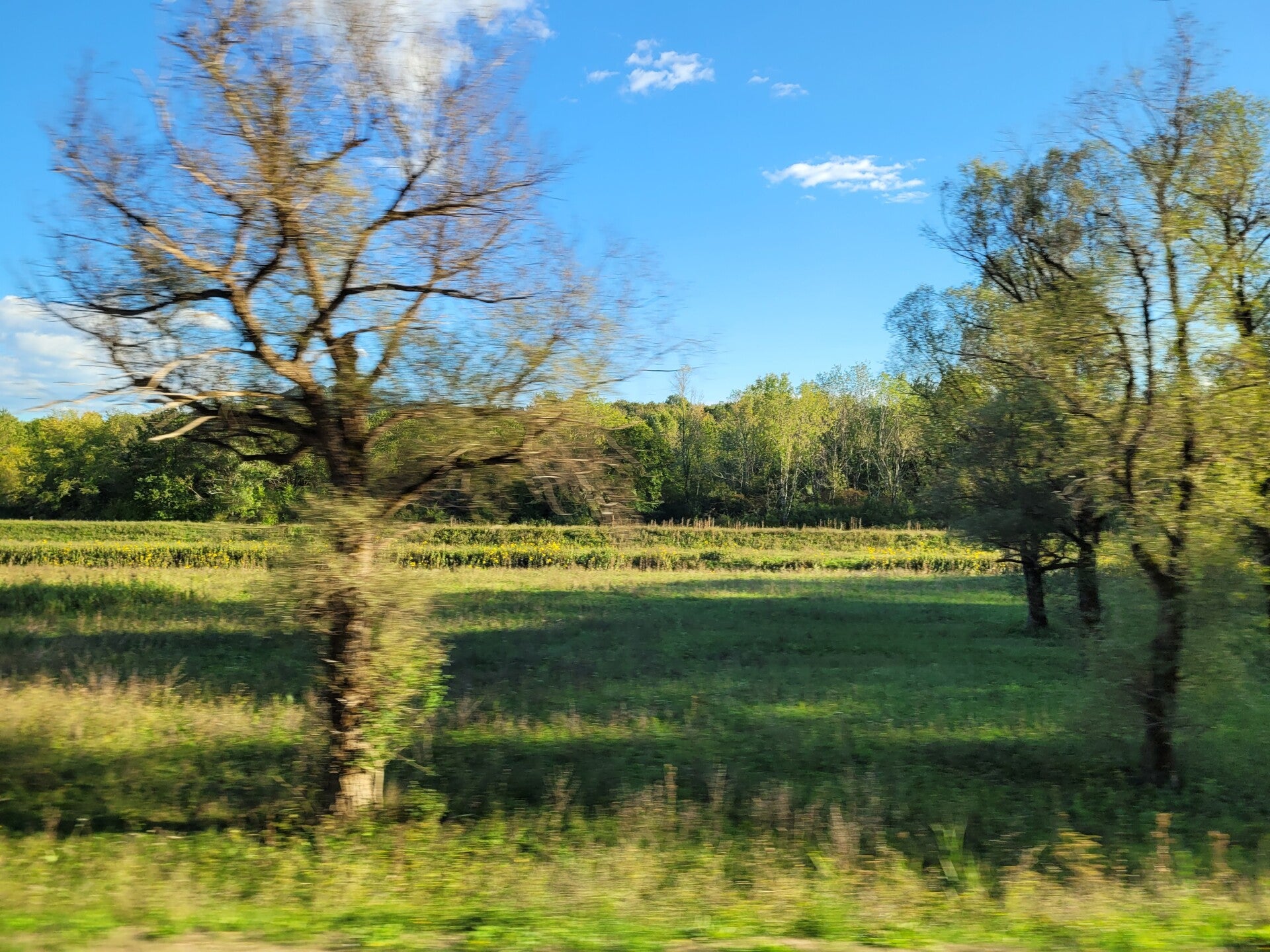 20220922_172747-standard.jpg