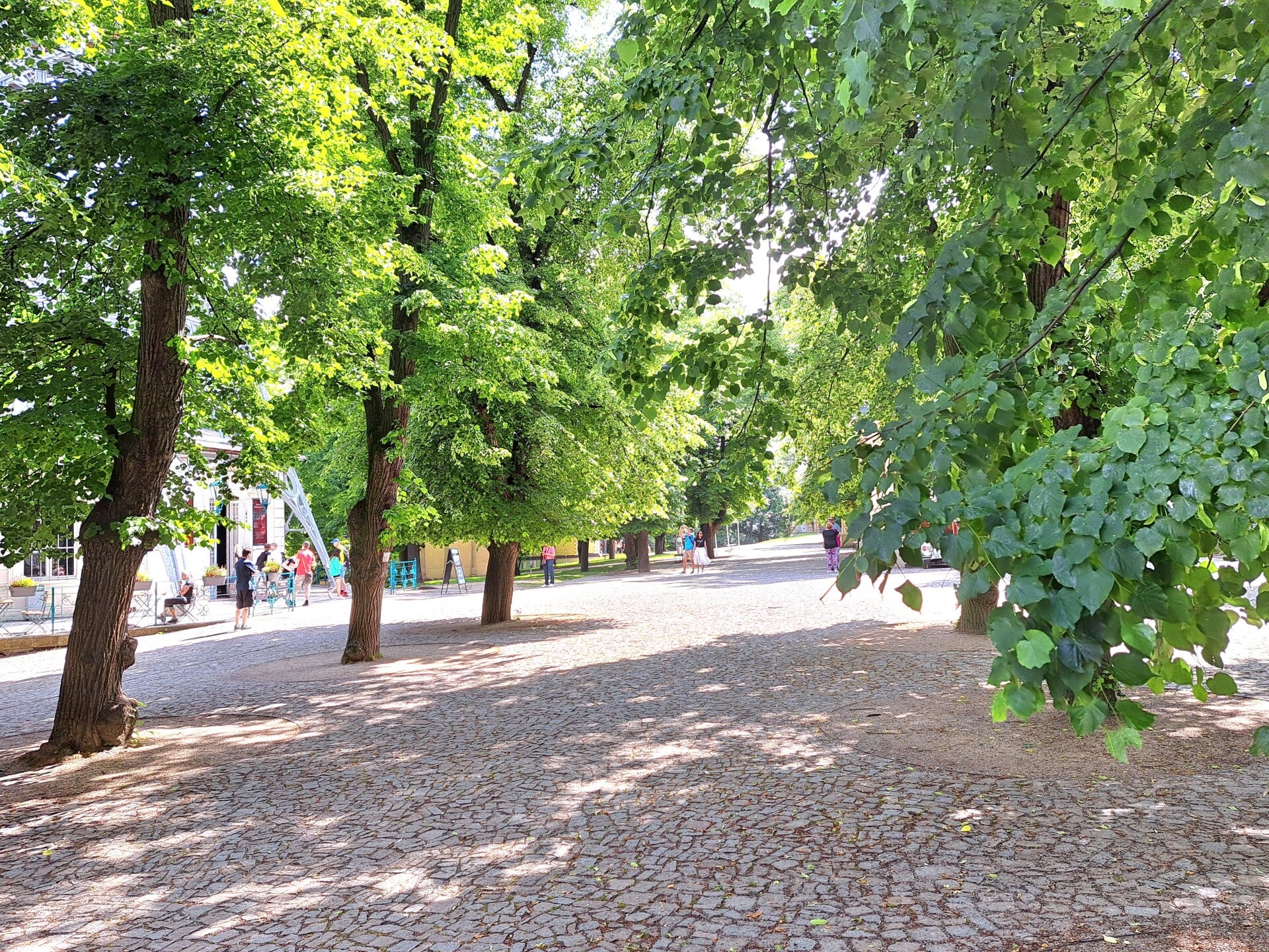 20230612_104512-standard-s3ioxu.jpg