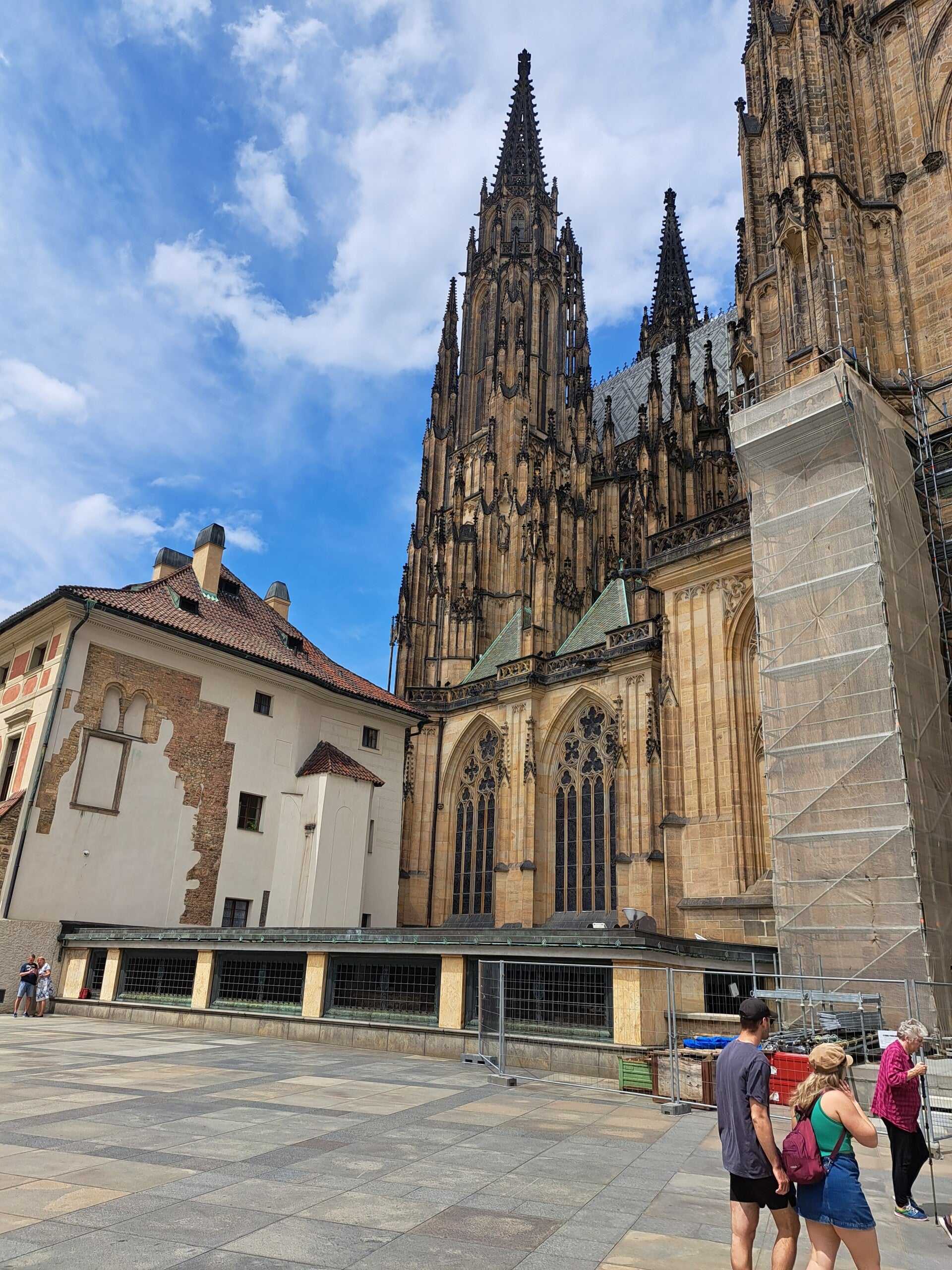 20230612_123124-standard-7zczk9.jpg