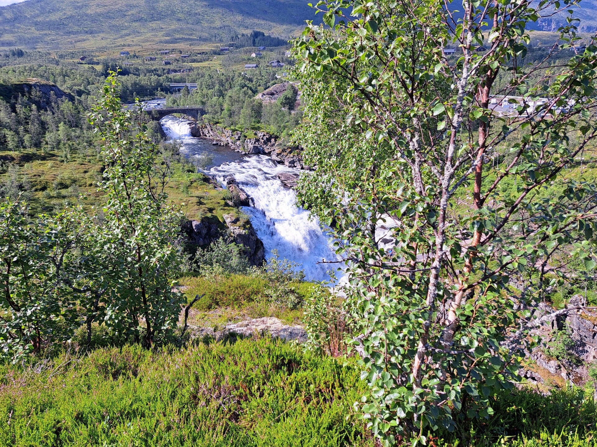 20250719_101232-standard-w0n4b6.jpg
