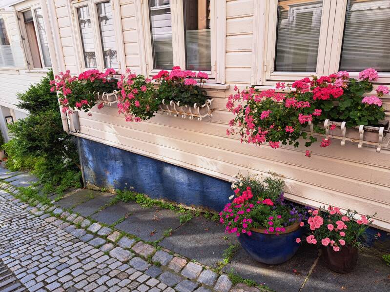 20250719_174917-standard-uo6c8j.jpg