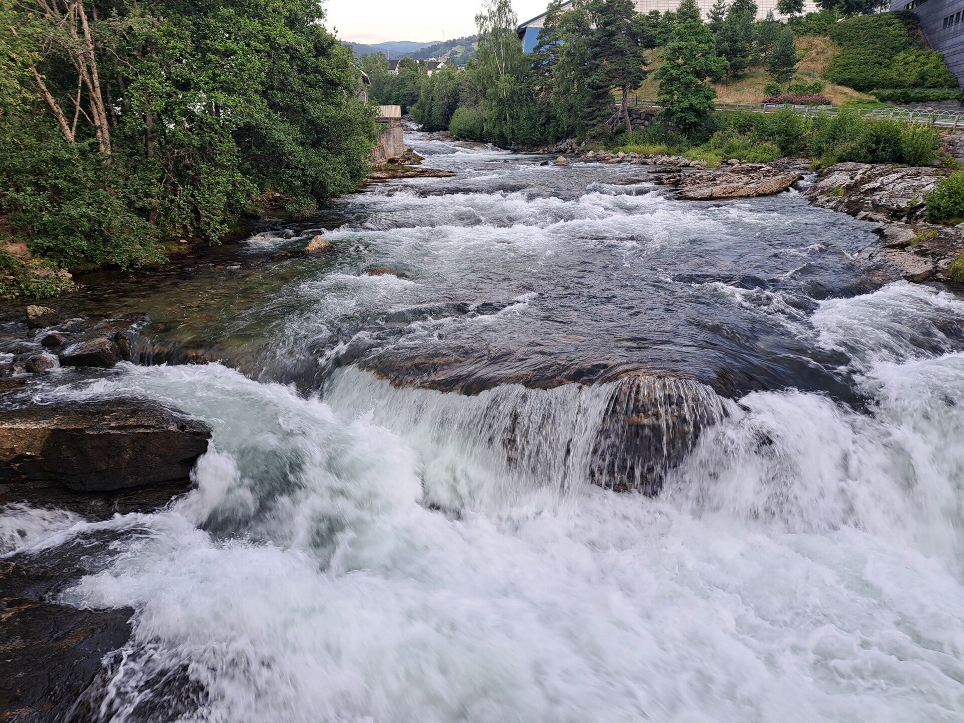 20250721_053239-standard-o0doa1.jpg