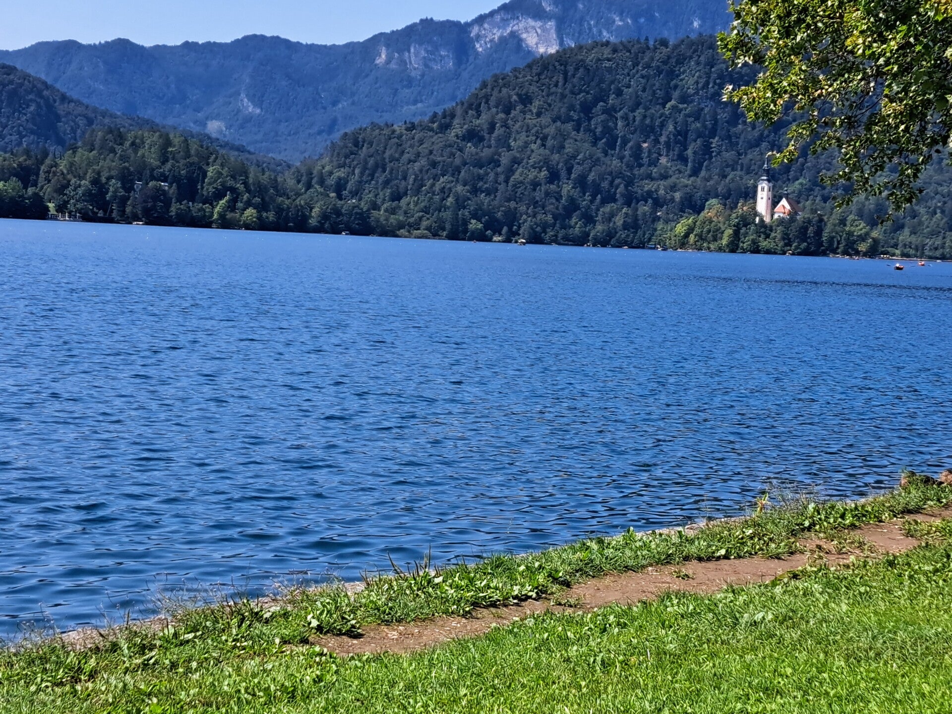 20250807_113223-standard.jpg