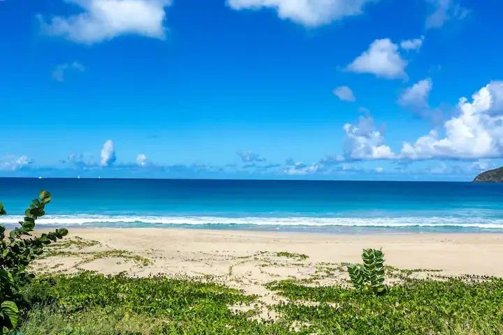 50607_beach_3-standard-jfl1pc.webp