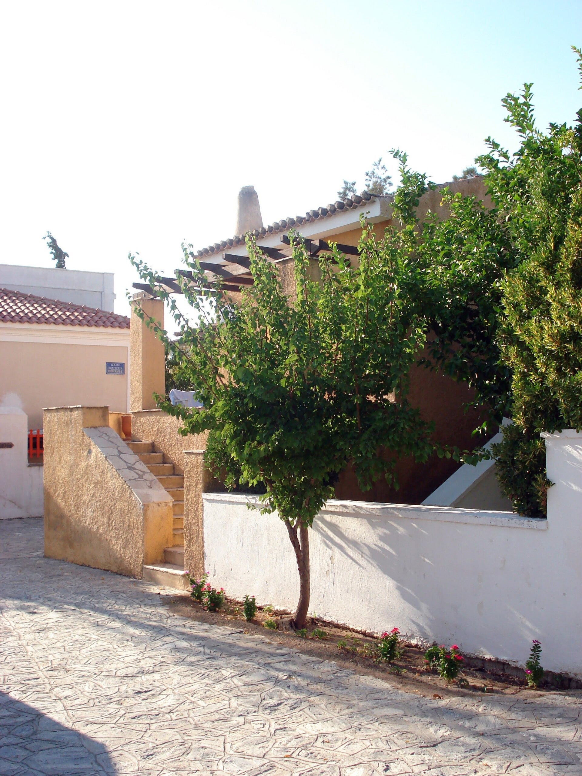 dsc00136-standard.jpg