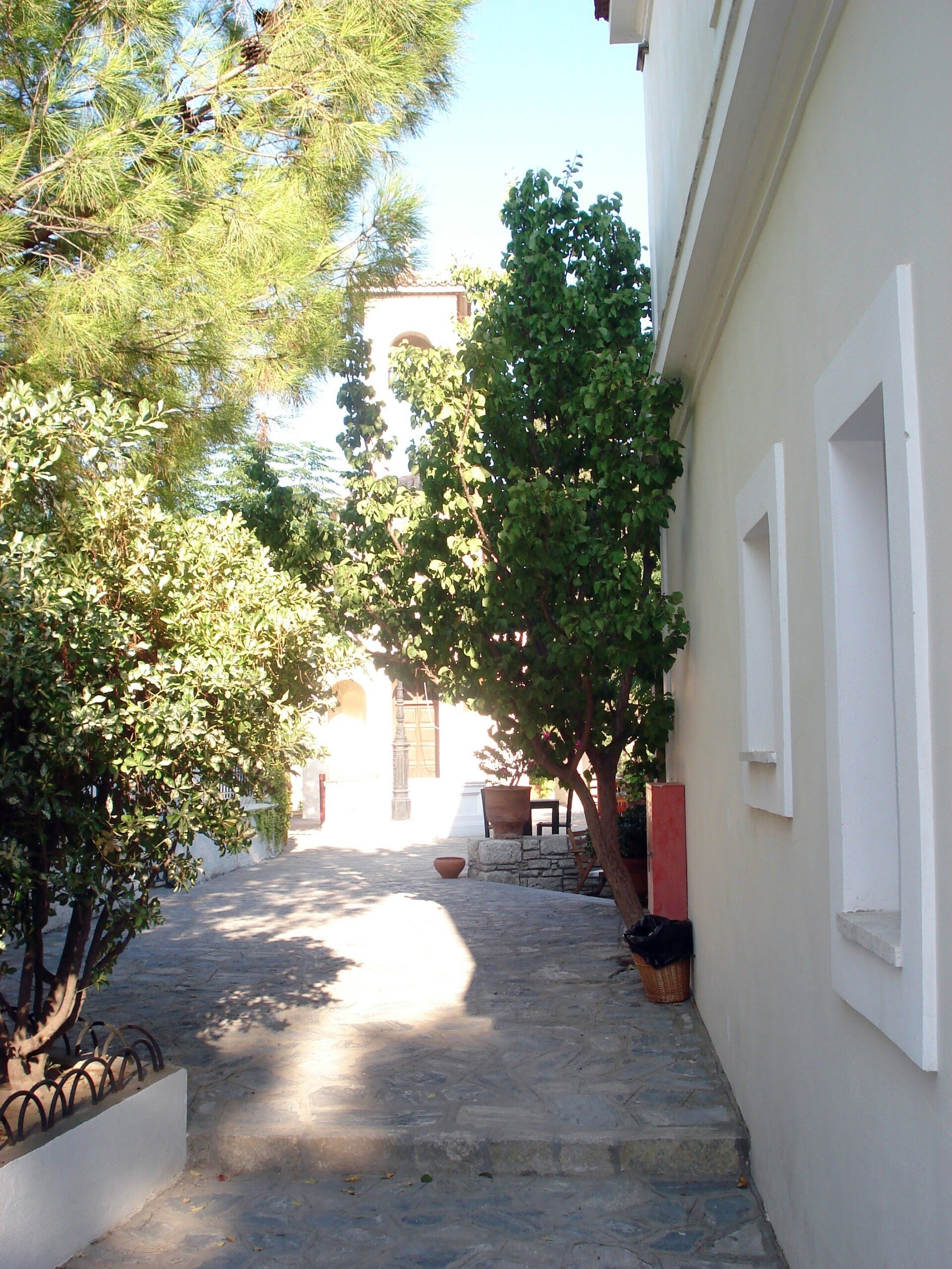 dsc00137-standard.jpg