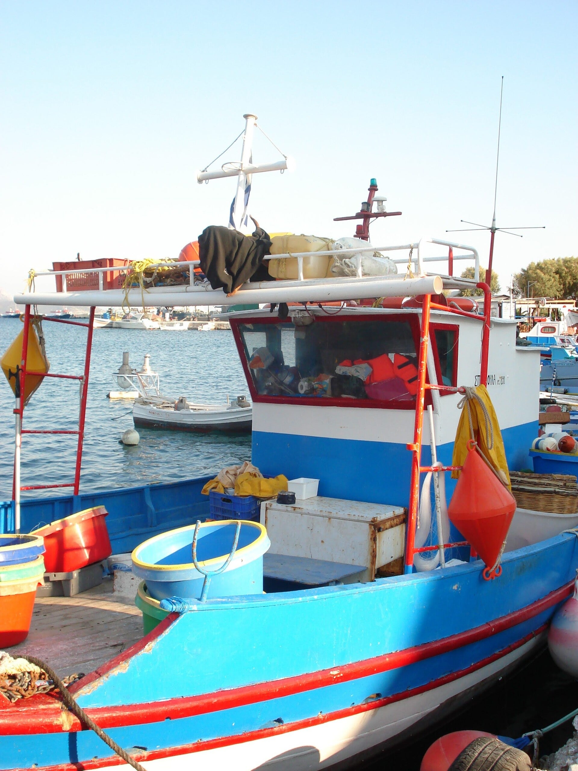 dsc00142-standard.jpg