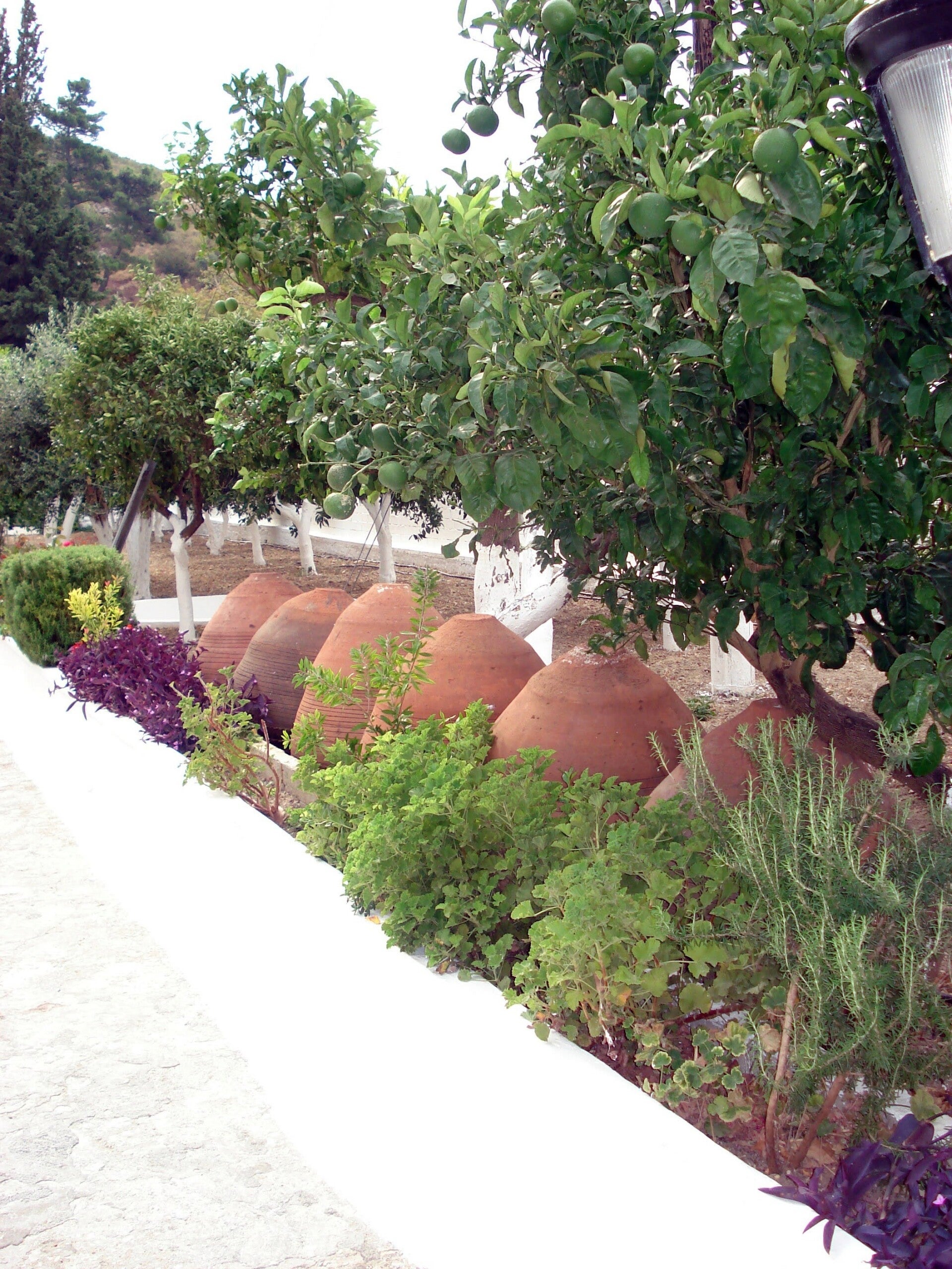 dsc00157-standard.jpg
