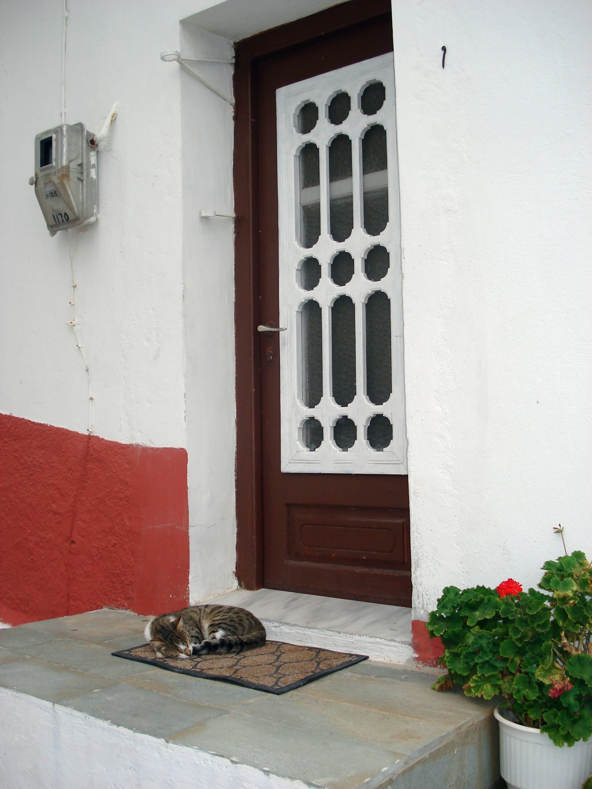 dsc00198-standard.jpg