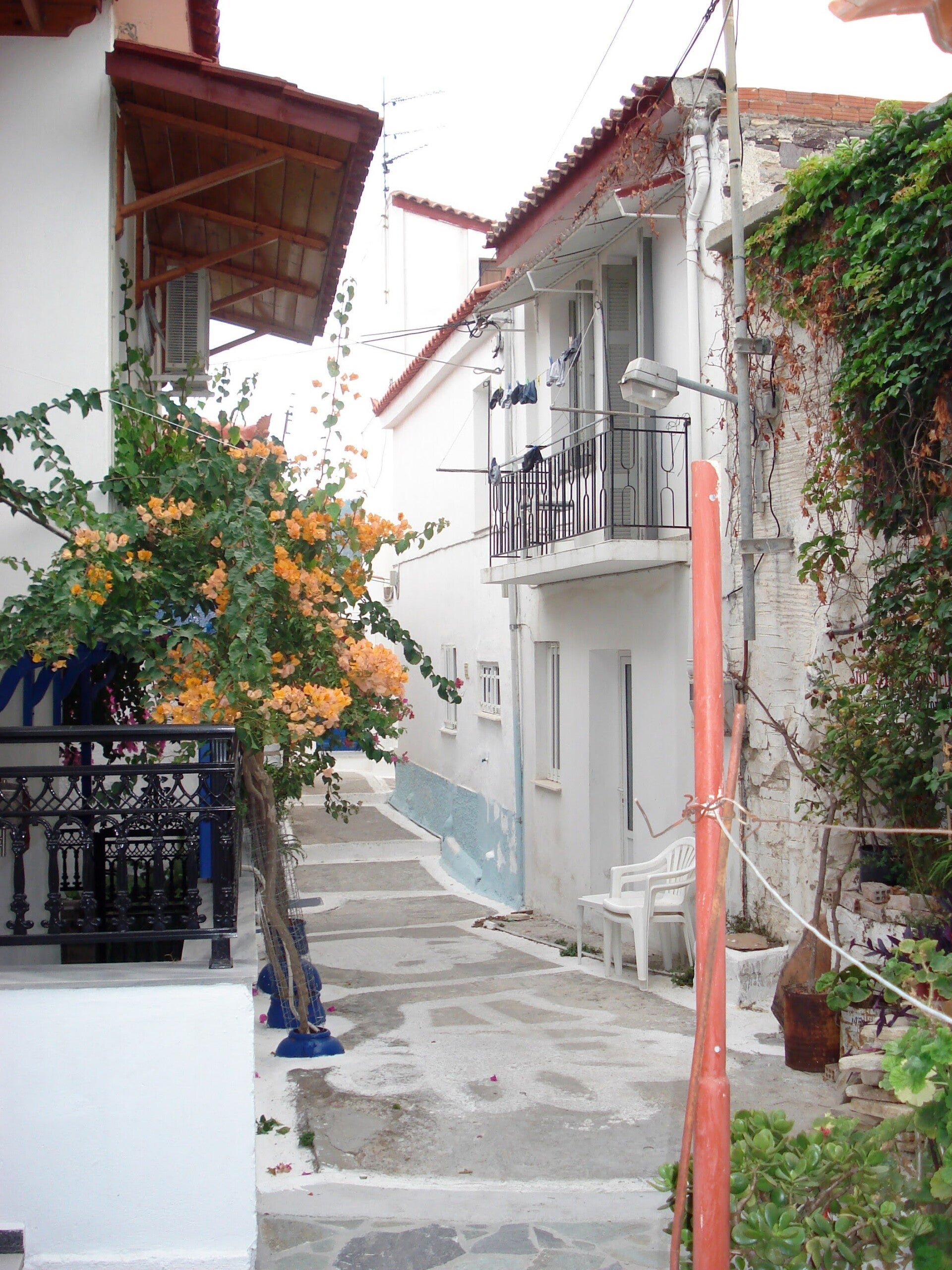 dsc00203-standard.jpg