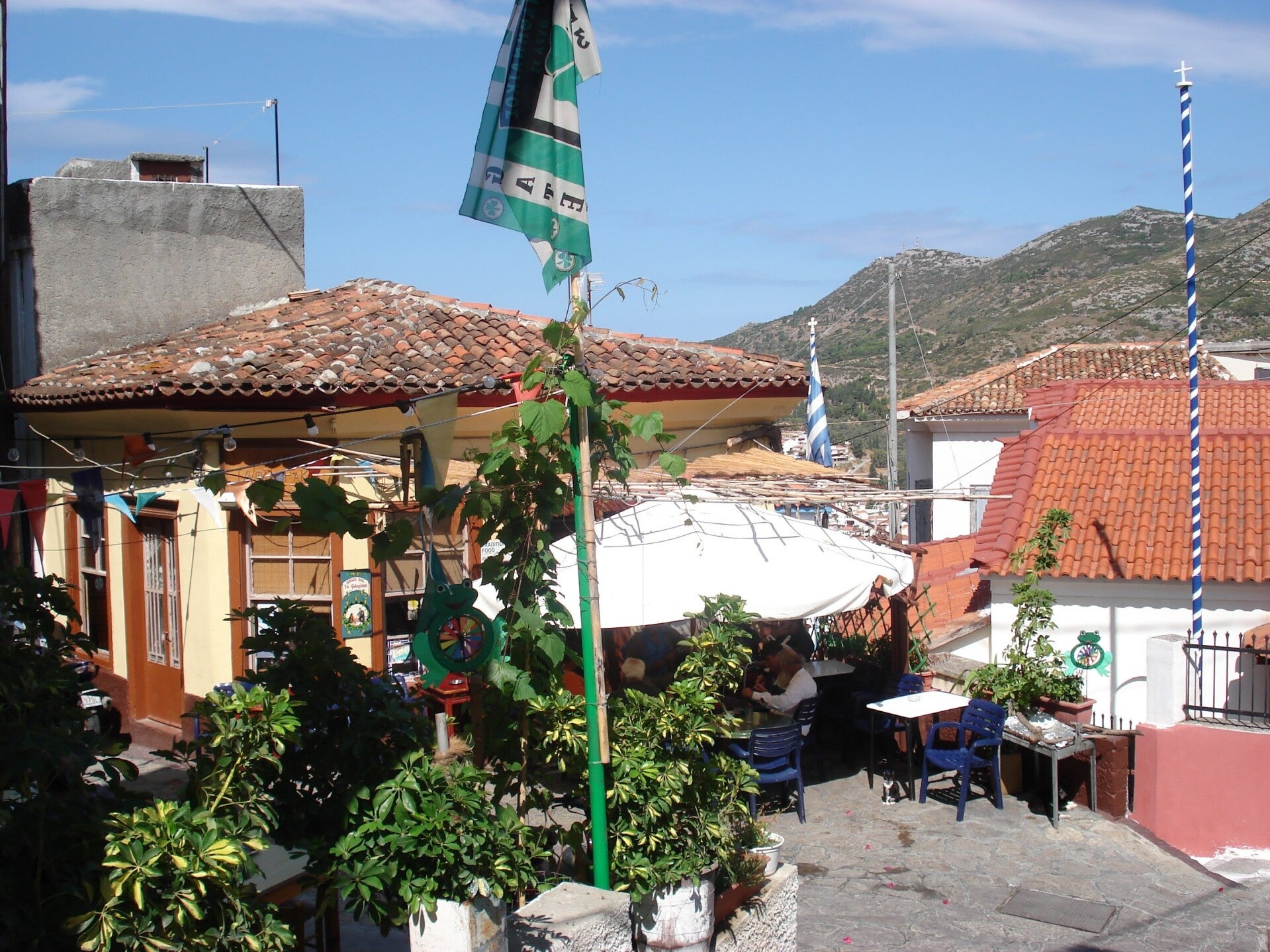 dsc00215-standard.jpg