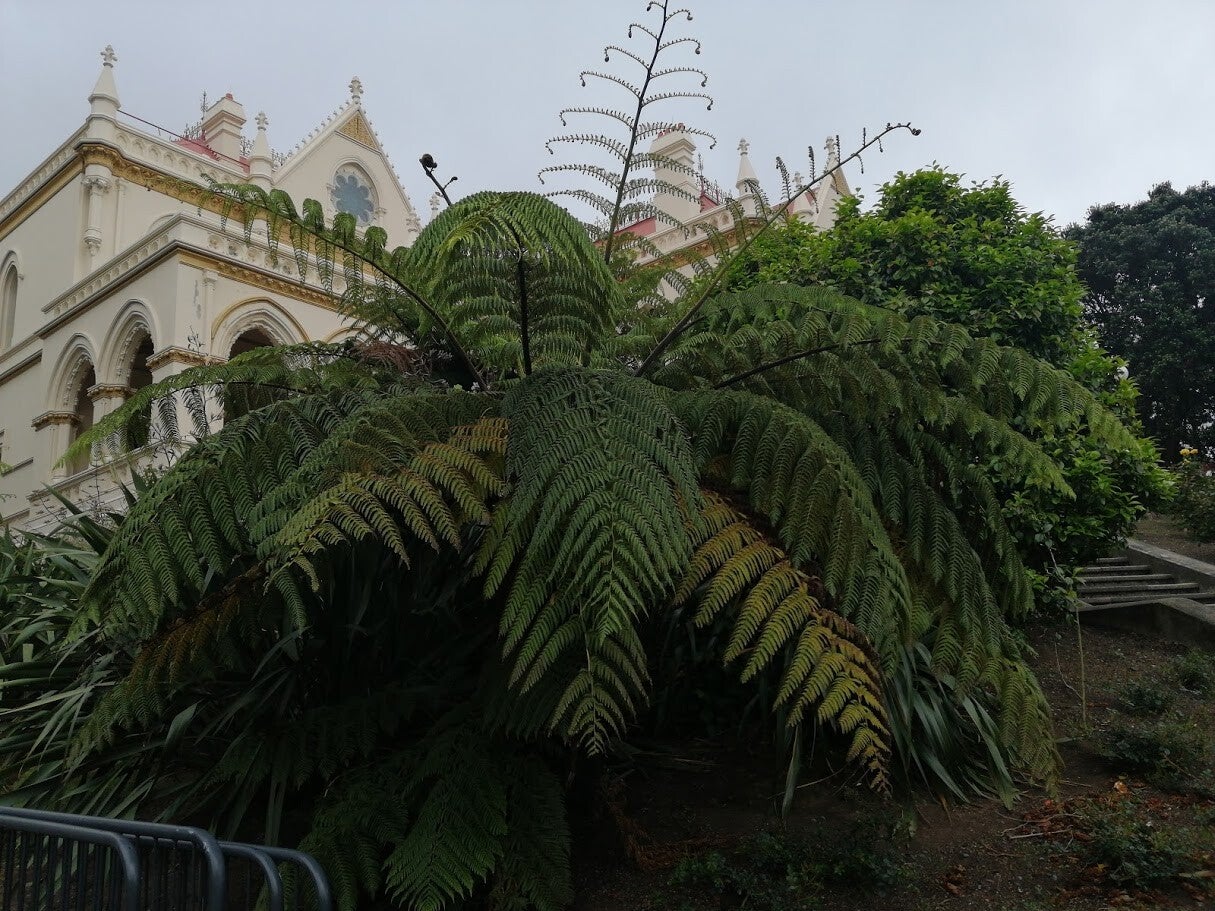 Park in Wellington