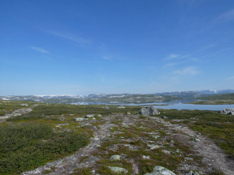 p1020638-standard.jpg