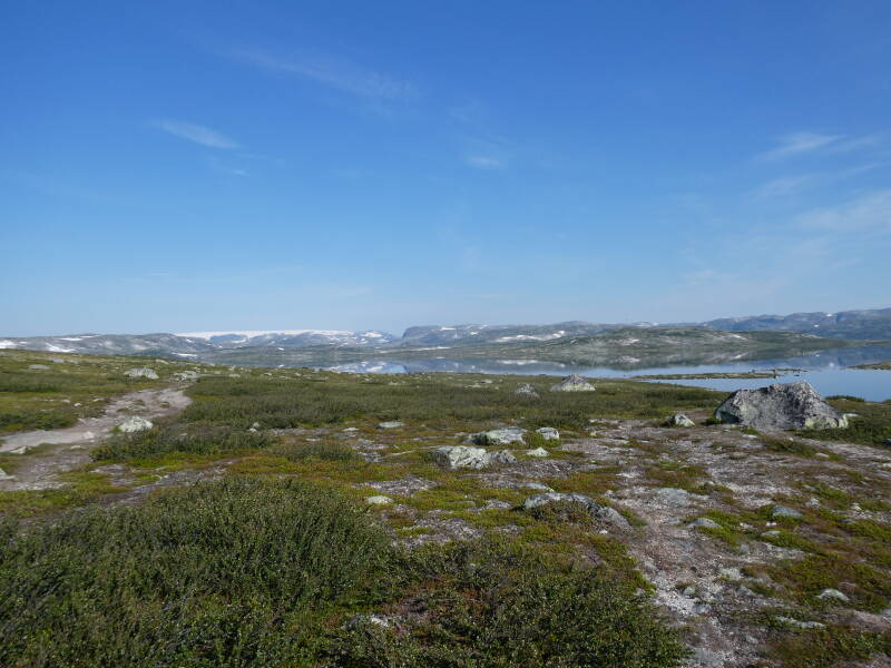 p1020640-standard.jpg