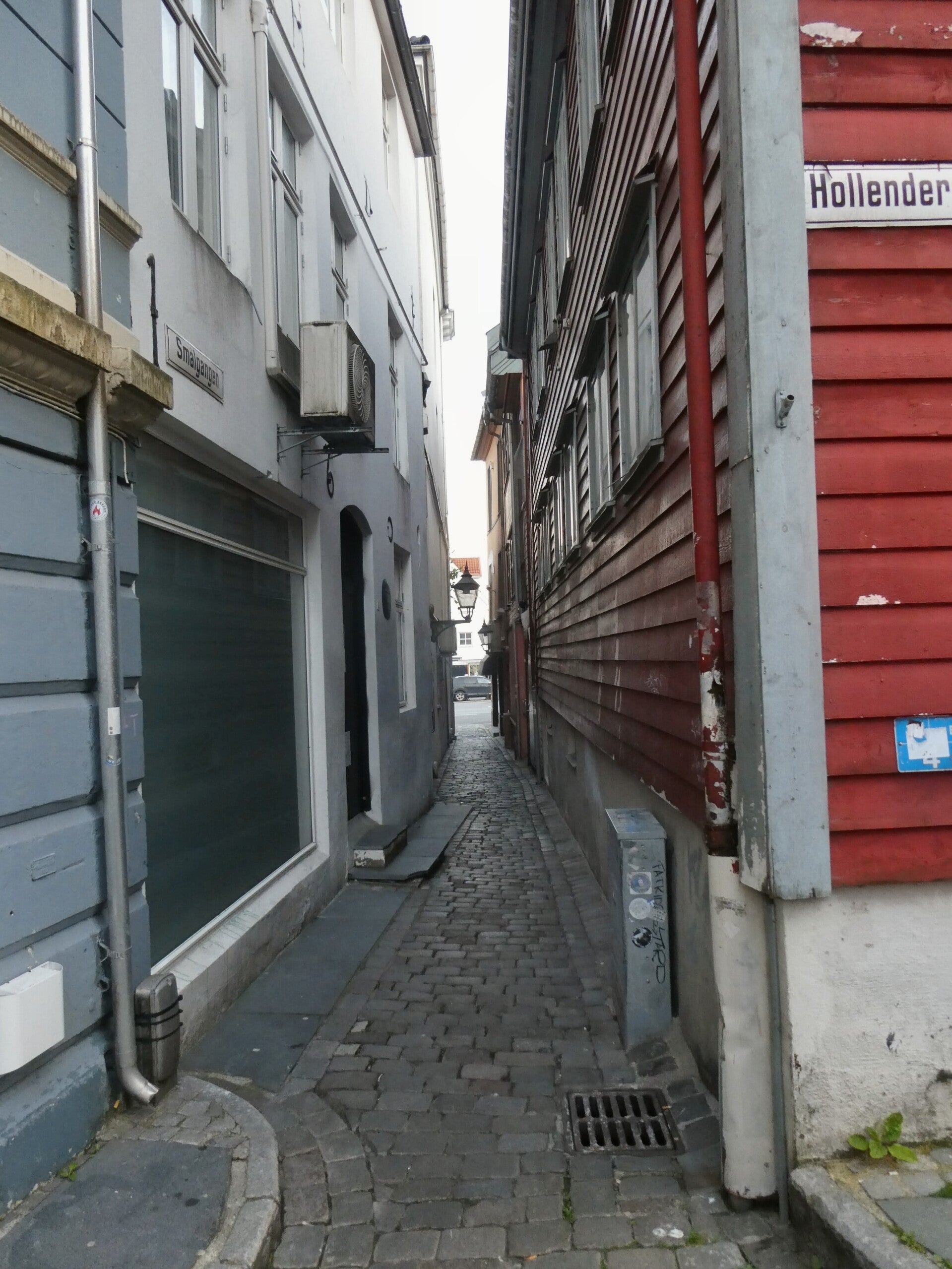 p1020669-2-standard.jpg