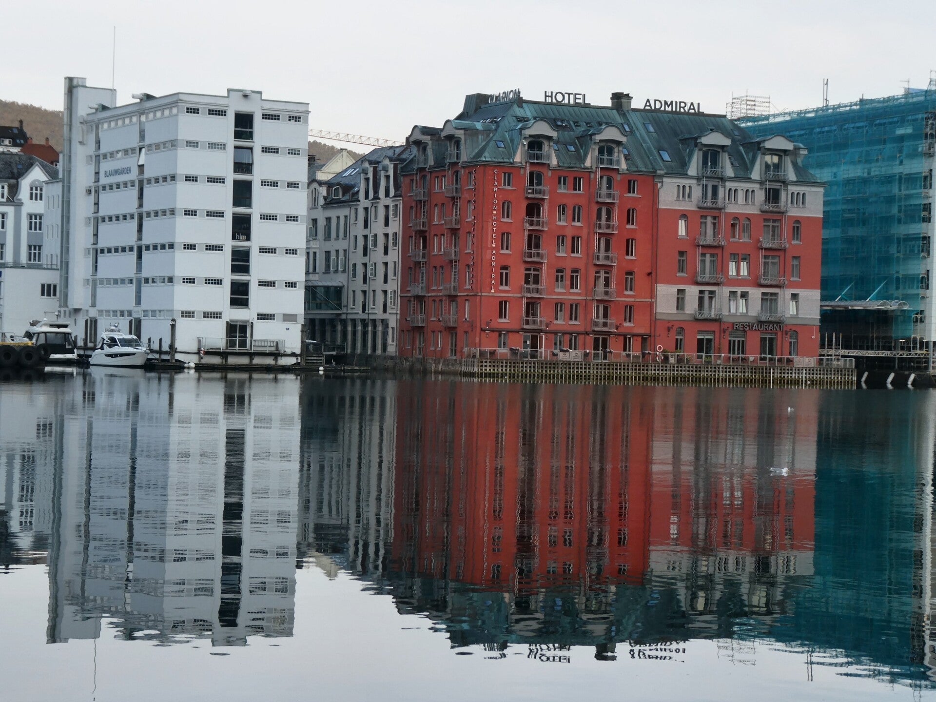 p1020678-2-standard.jpg