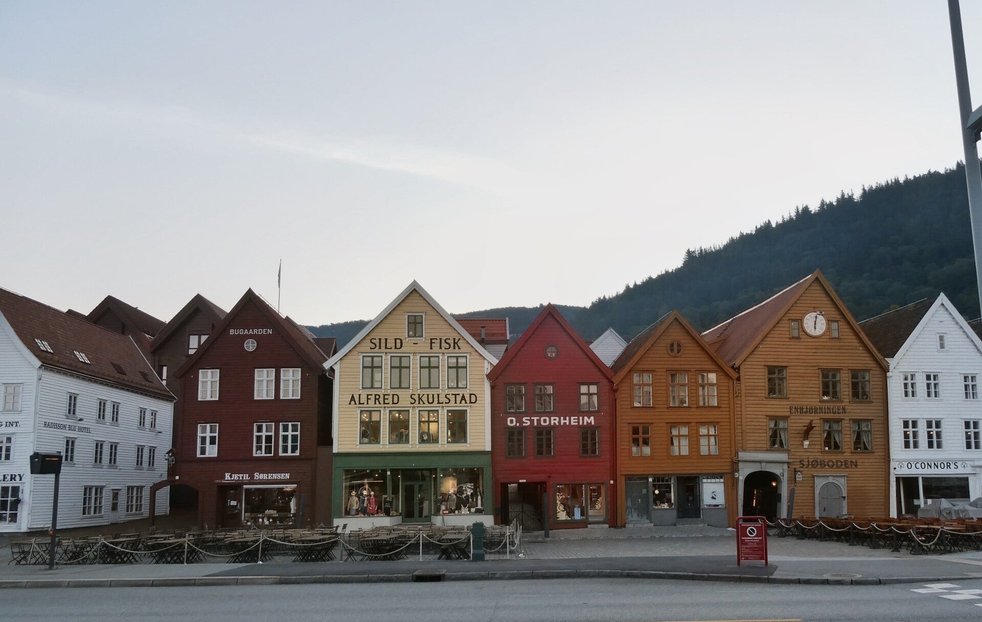 p1020679-2-standard.jpg