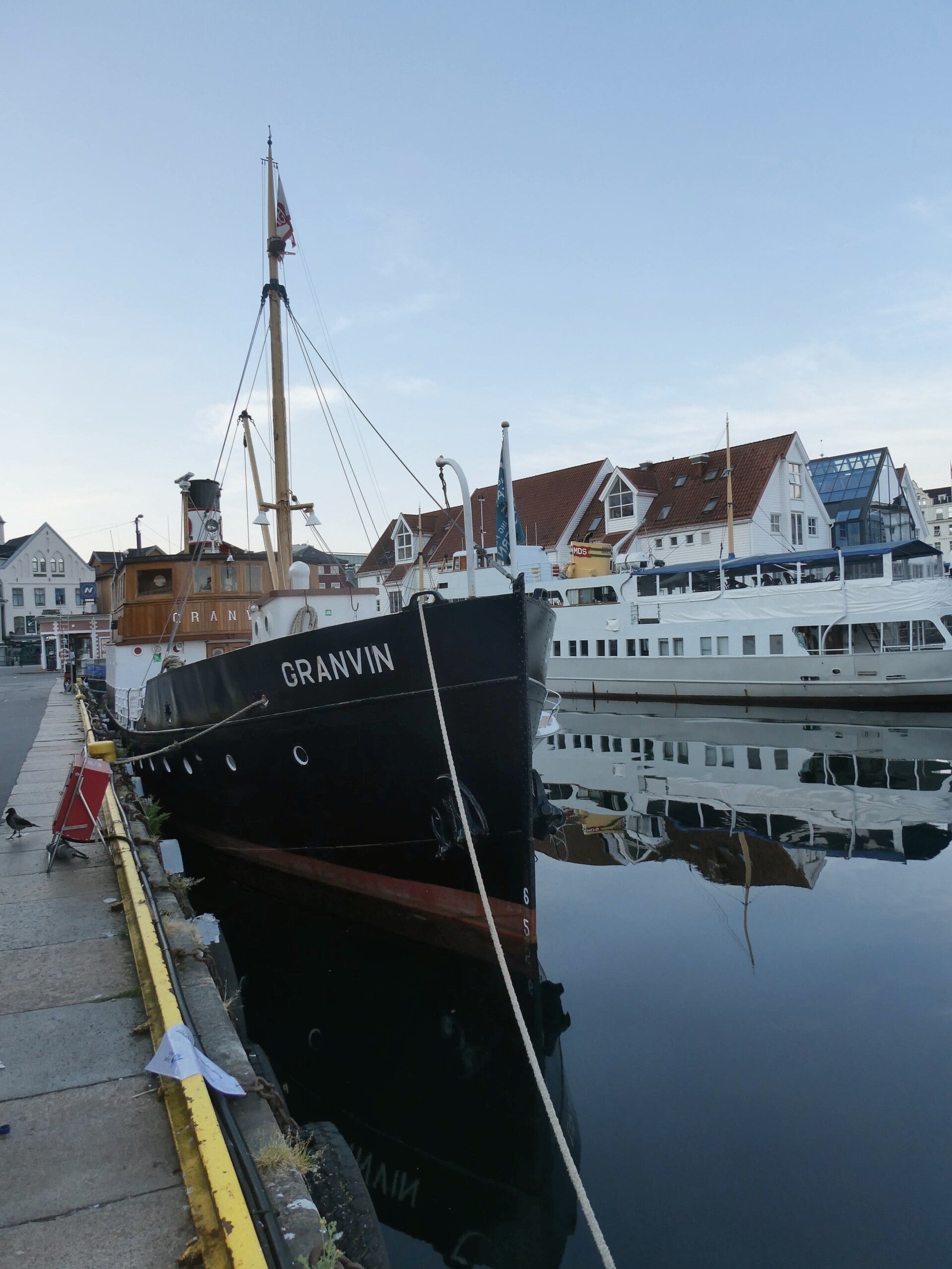 p1020694-2-standard.jpg