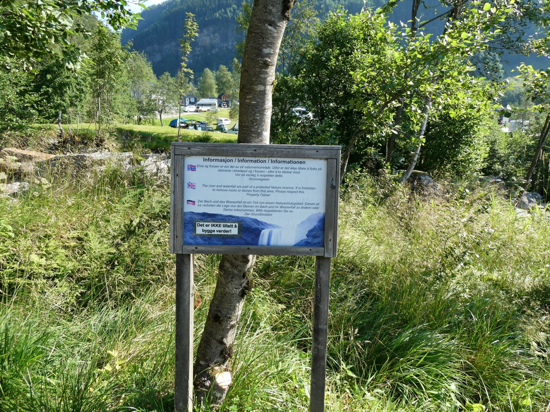 p1020731-standard-f0y4sa.jpg
