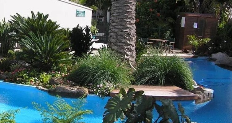 Pool in Paihia