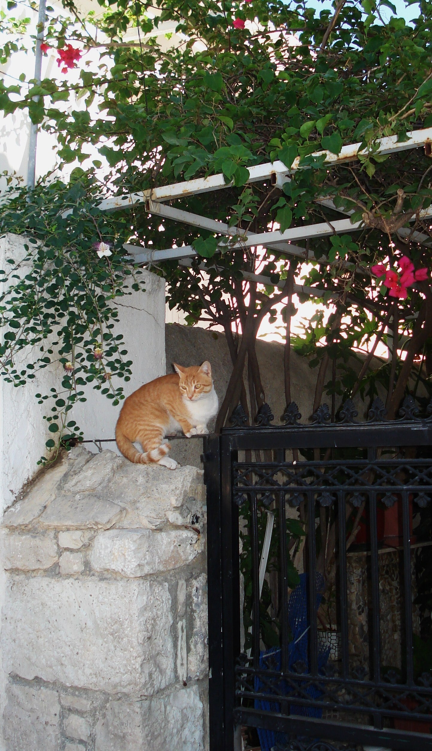 samos-2007-9-26-034-standard.jpg