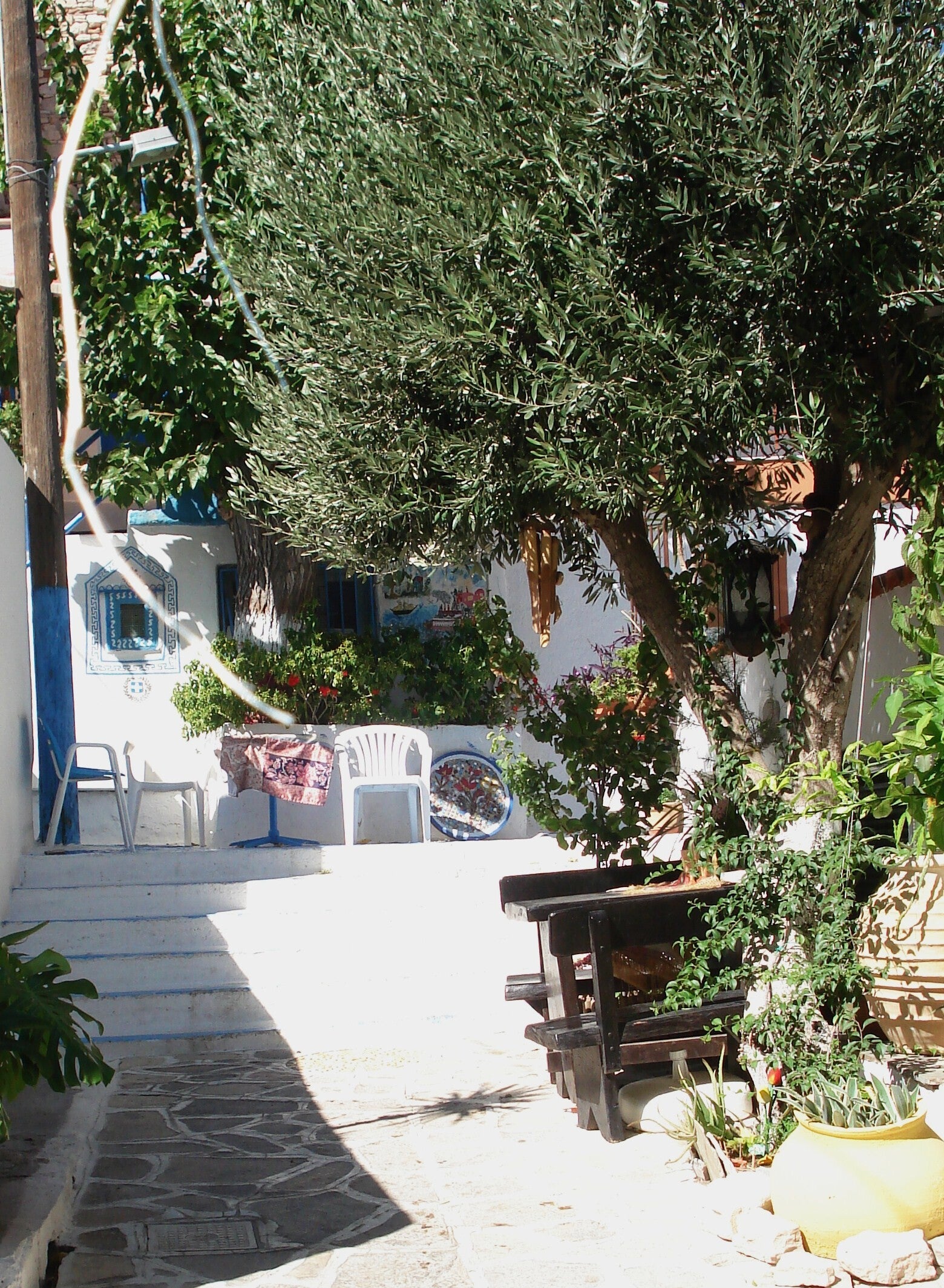 samos-2007-9-26-039-standard.jpg