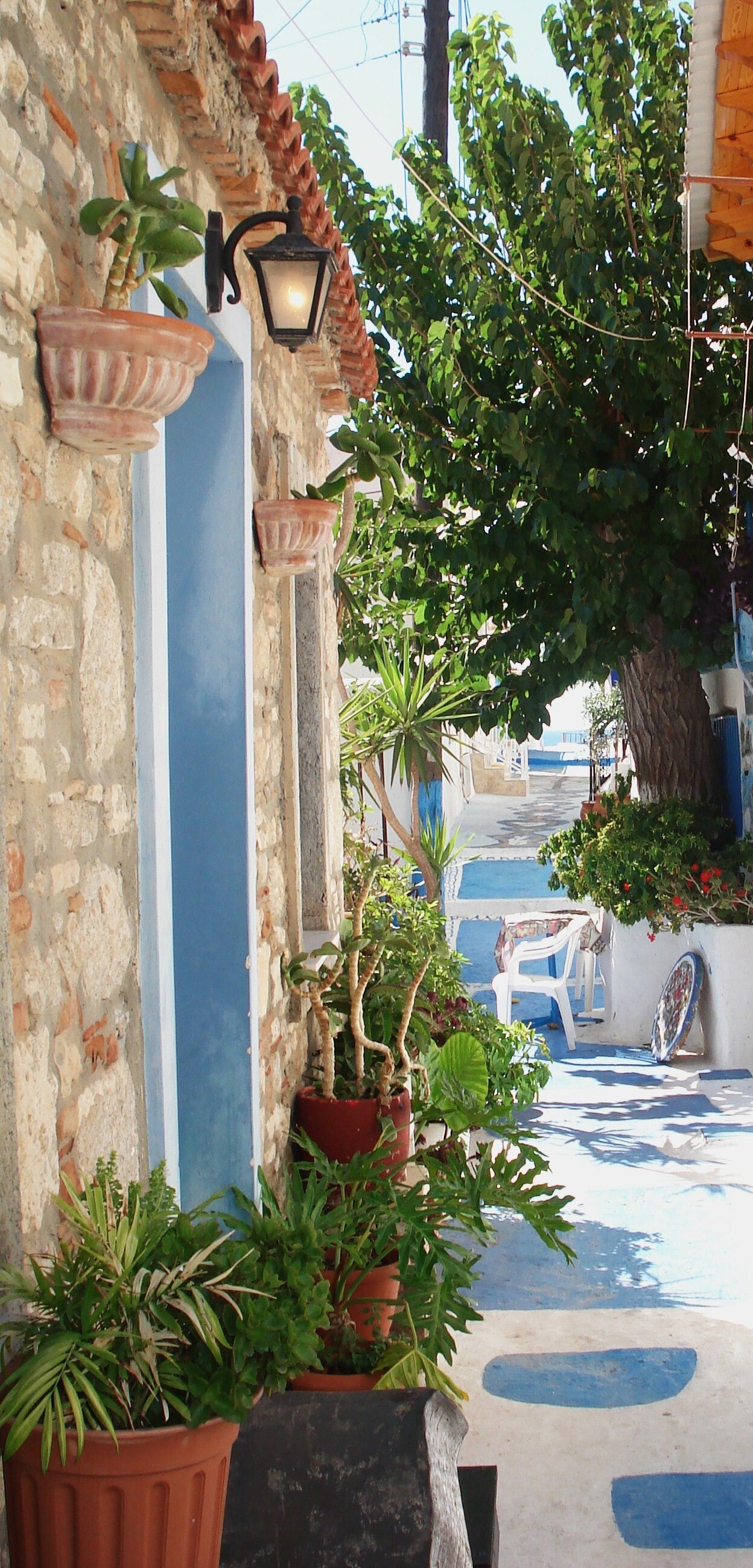 samos-2007-9-26-045-standard.jpg
