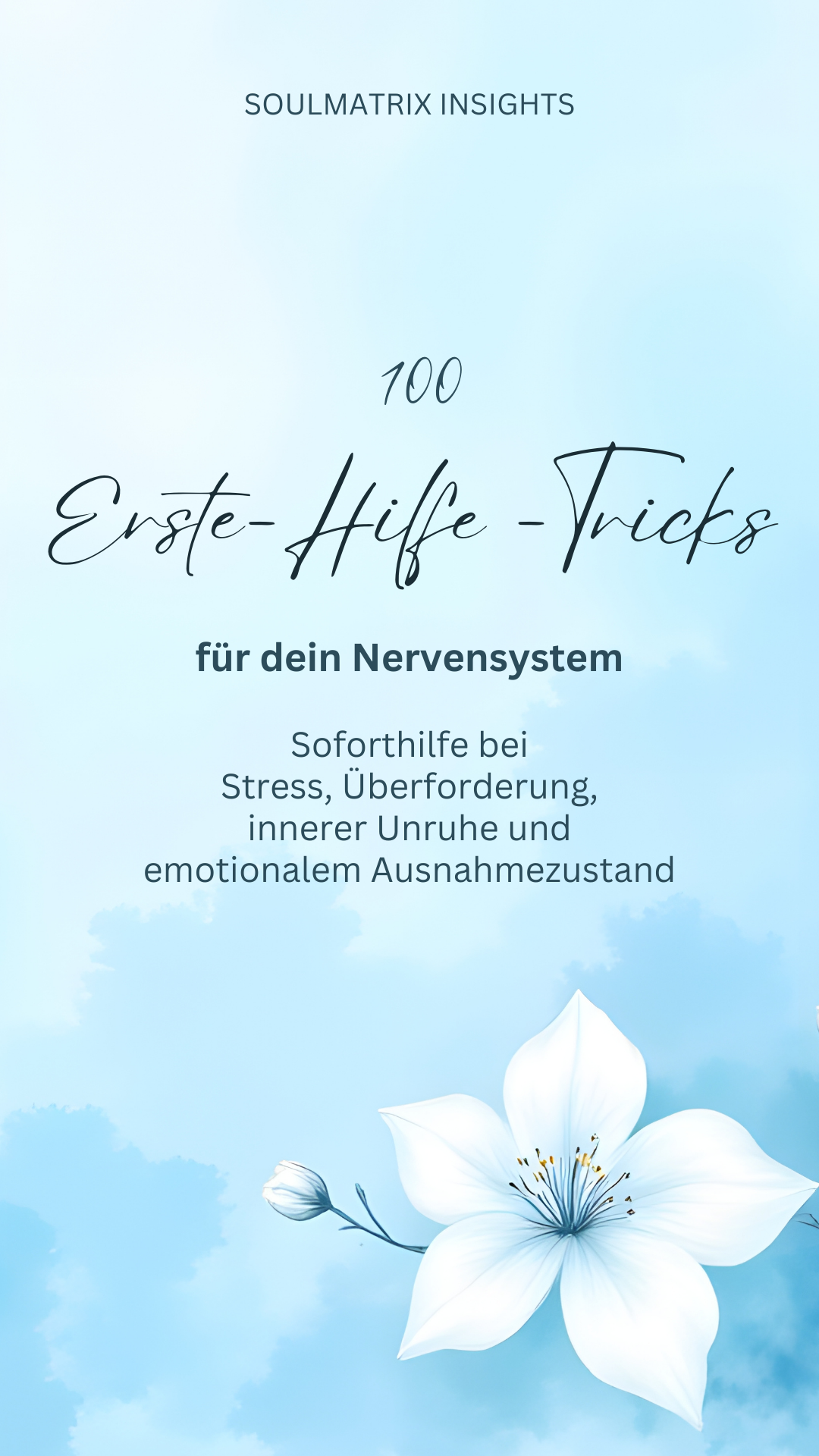 E - Book 100 Erste-Hilfe-Tricks für dein Nervensystem