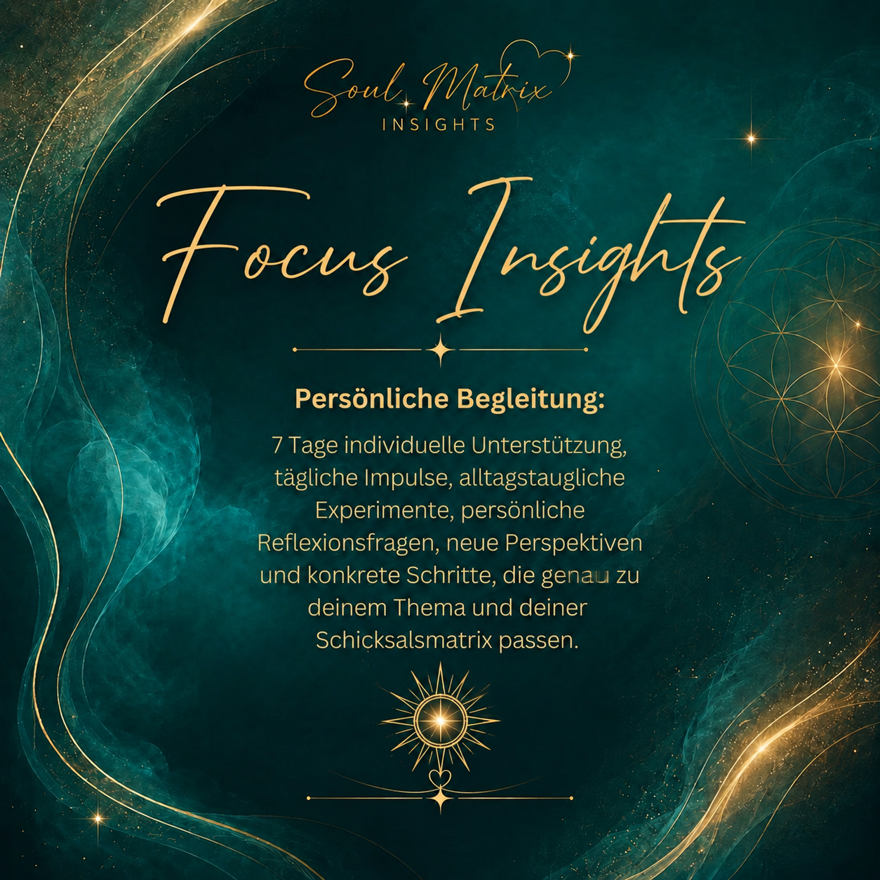 Focus Insights 1:1 Begleitung