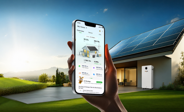 EBox16 Pro (Smart Home Storage System)
