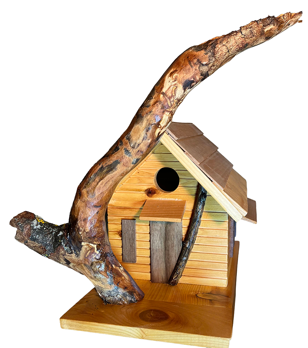 Handmade bird house with branch perch