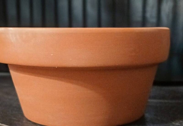 Terracotta Pot