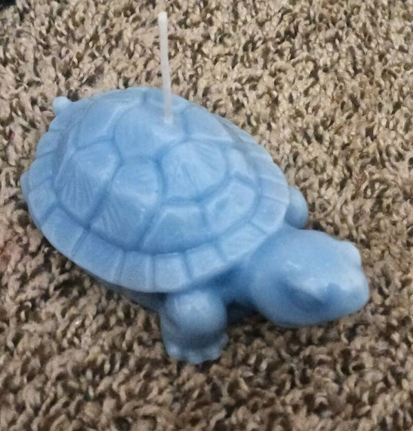 Turtle candle