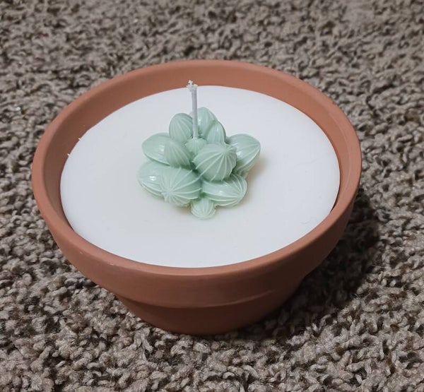 Terracotta Pot