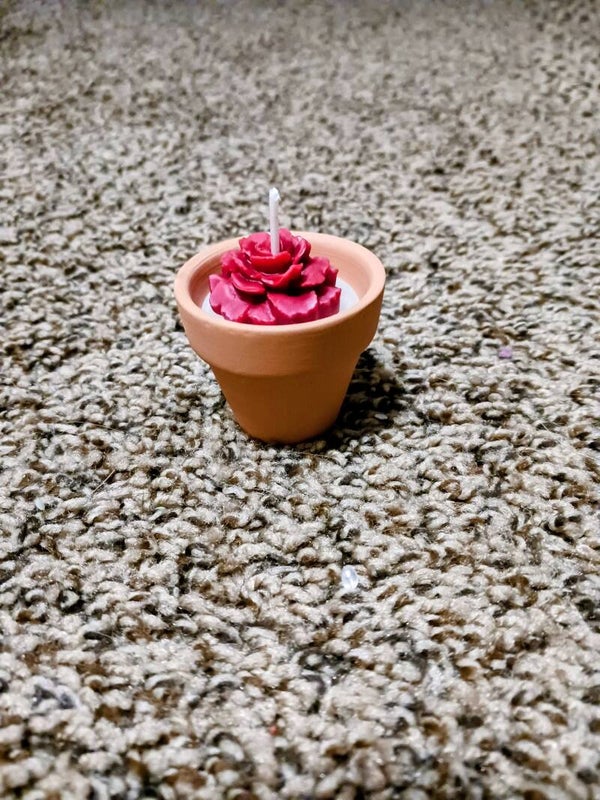 Small Terracotta Pot