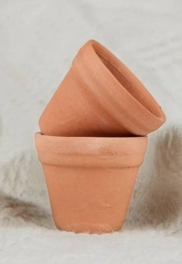 Small Terracotta Pot