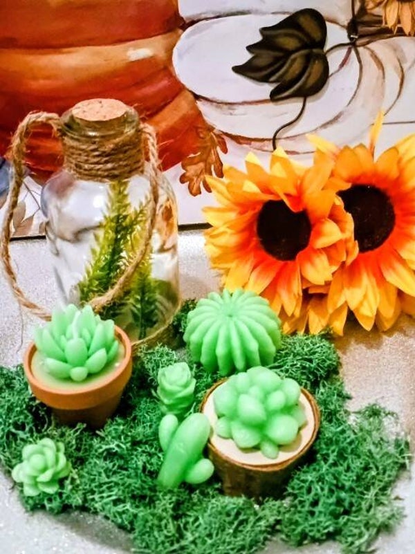 Cactus wax melts