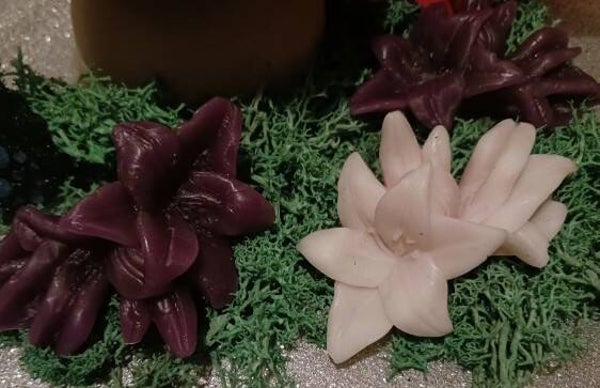Lily wax melts